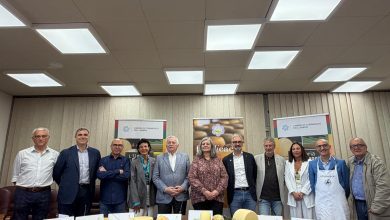 Vallo di Nera, Fior di Cacio 2026 punta al salto nazionale: due giorni tra formaggi, biodiversità e tradizione pastorale 13