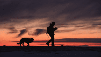 Dog Trekking alle Cascate del Menotre, l'esperienza progettata dagli esperti di Funny Dog 11