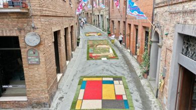 Città della Pieve sboccia con l’Infiorata 2026: il borgo si trasforma in un capolavoro di petali 16 Città della Pieve sboccia con l’Infiorata 2026: il borgo si trasforma in un capolavoro di petali 15