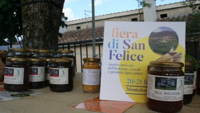 Monteleone di Spoleto celebra la Fiera di San Felice: tre giorni tra tradizioni dell'Appennino 20 Monteleone di Spoleto celebra la Fiera di San Felice: tre giorni tra tradizioni dell'Appennino 19