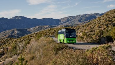 FlixBus potenzia i collegamenti in provincia di Perugia: più corse, nuove destinazioni e focus sul turismo 9