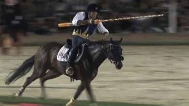 Quintana di Ascoli 2026, trionfo storico di Luca Innocenzi: Porta Solestà conquista il Palio 1