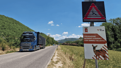Fauna selvatica e sicurezza stradale, la Provincia installa il tredicesimo dispositivo anti-collisione 16 Fauna selvatica e sicurezza stradale, la Provincia installa il tredicesimo dispositivo anti-collisione 15