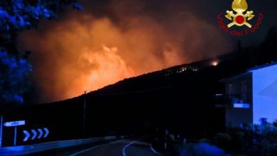Incendi al Monte Cucco, 200 ettari di bosco distrutti: prende corpo il sospetto del dolo 10 Incendi al Monte Cucco, 200 ettari di bosco distrutti: prende corpo il sospetto del dolo 9