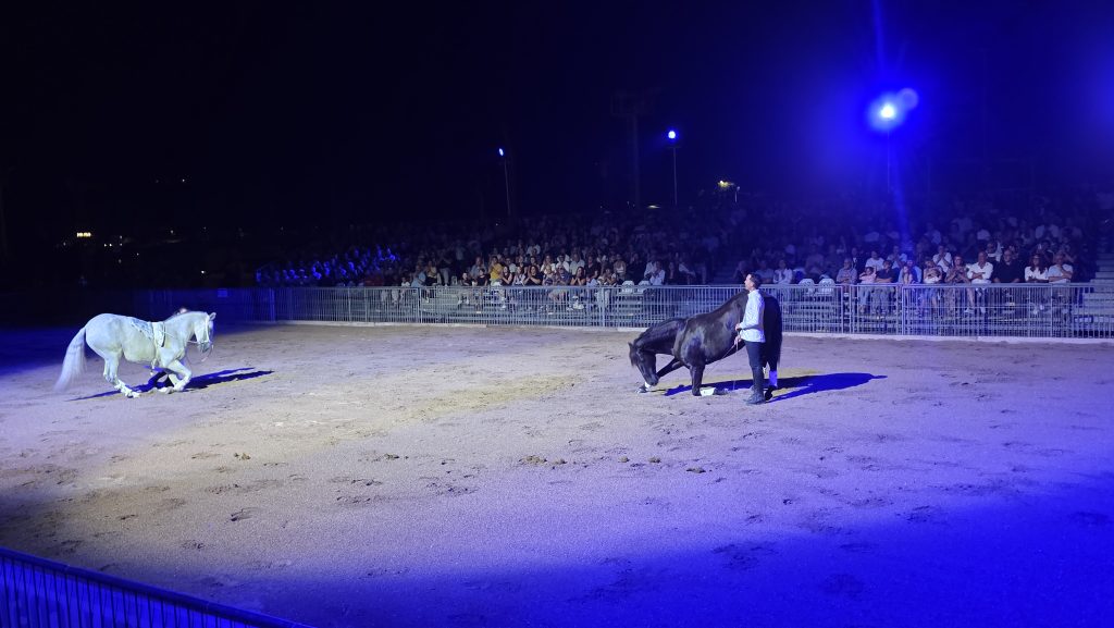 Gran Galà Equestre, Cascia conquista il pubblico: vince Sofia Simonetti 5