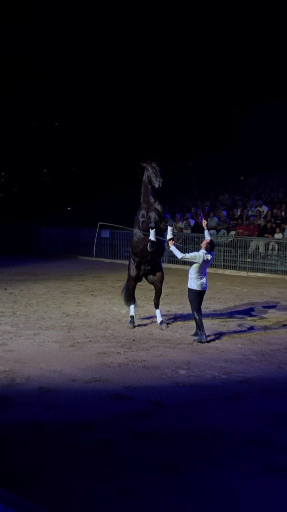 Gran Galà Equestre, Cascia conquista il pubblico: vince Sofia Simonetti 7