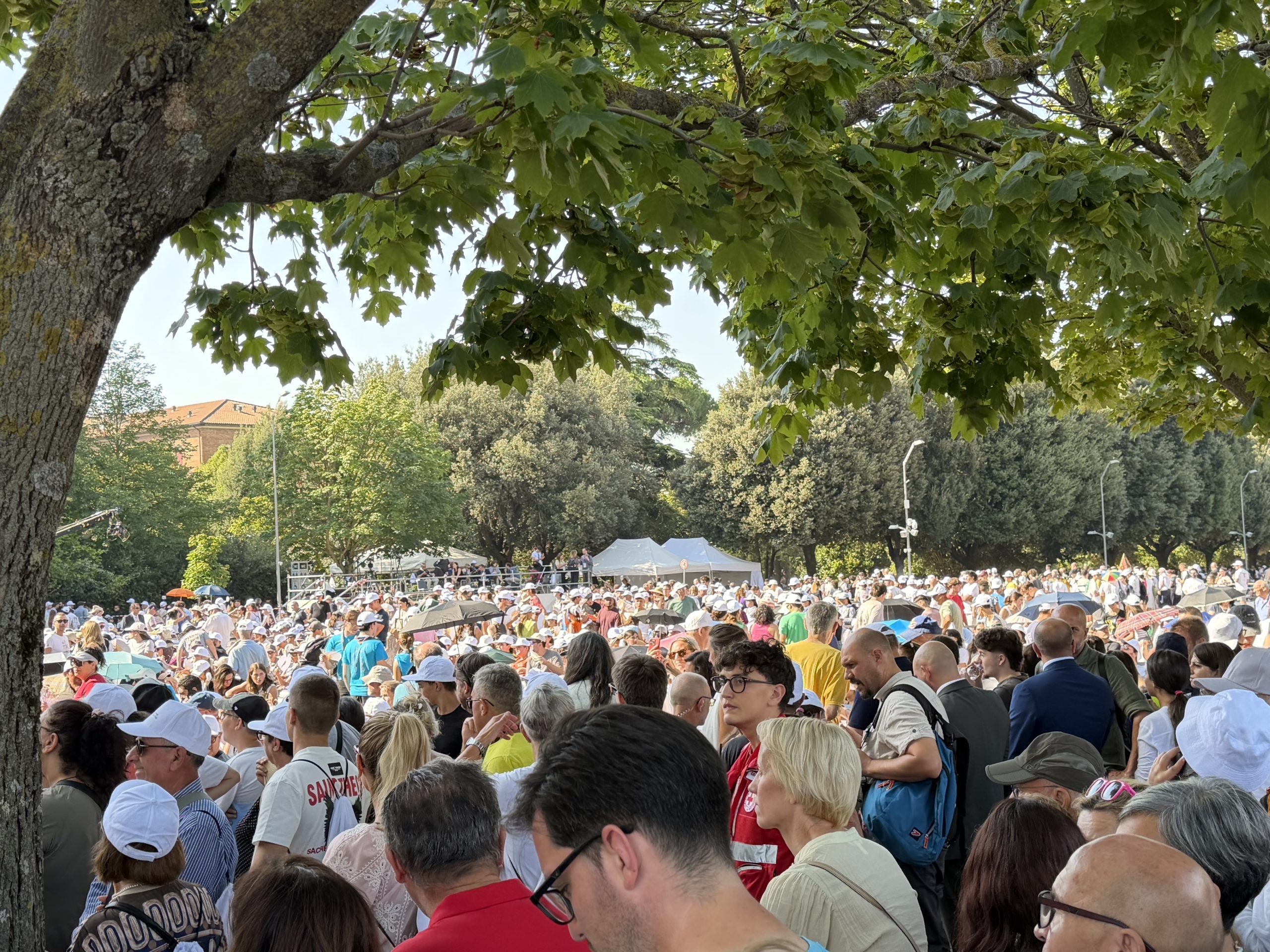“Go!” diventa missione. Papa Leone XIV conclude ad Assisi il Franciscan Youth Meeting e affida ai giovani il Vangelo della fraternità 20 “Go!” diventa missione. Papa Leone XIV conclude ad Assisi il Franciscan Youth Meeting e affida ai giovani il Vangelo della fraternità 19