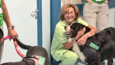 In oncologia gli animali diventano co-terapeuti: il progetto che porta relazione e benessere in corsia 3