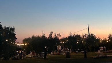 “Vigne & Note”, musica al tramonto tra i filari: a Bevagna il recital di chitarra tra vino e sapori umbri 5