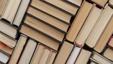 Monteleone di Spoleto torna capitale della lettura: al via l’XI Settimana del Libro nel Giardino di San Francesco 17