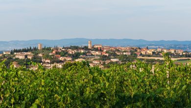 Torgiano rappresenta l’Umbria nella nuova edizione de “Il Borgo dei Borghi” 5 Torgiano rappresenta l’Umbria nella nuova edizione de “Il Borgo dei Borghi” 4