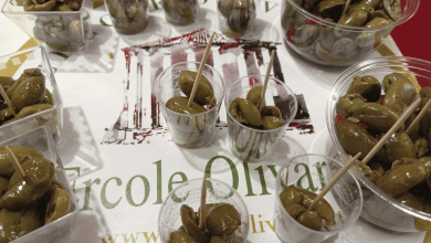 Ercole Olivario, al via la VI edizione dedicata alle olive da tavola 1