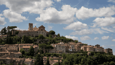 Amerino Tipico Festival, ad Amelia tre giorni tra sapori, tradizioni e territorio 4 Amerino Tipico Festival, ad Amelia tre giorni tra sapori, tradizioni e territorio 3