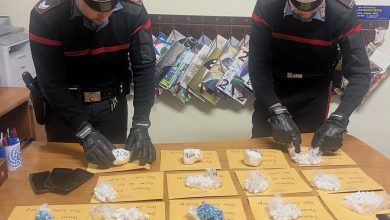Foligno, oltre 800 grammi di cocaina nascosti in auto: arrestato un 20enne 47 Foligno, oltre 800 grammi di cocaina nascosti in auto: arrestato un 20enne 46