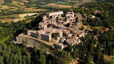 Montone si veste d’autunno: al via la 42ª Festa del Bosco tra sapori, natura e spettacoli 6 Montone si veste d’autunno: al via la 42ª Festa del Bosco tra sapori, natura e spettacoli 5