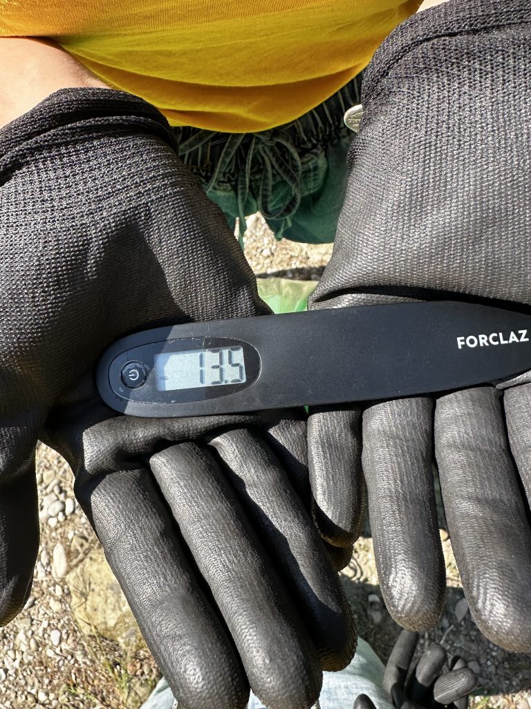 Raccolti 82 chili di rifiuti lungo Tevere a Ponte San Giovanni: abbandonata anche una bombola del gas 4 Raccolti 82 chili di rifiuti lungo Tevere a Ponte San Giovanni: abbandonata anche una bombola del gas 3