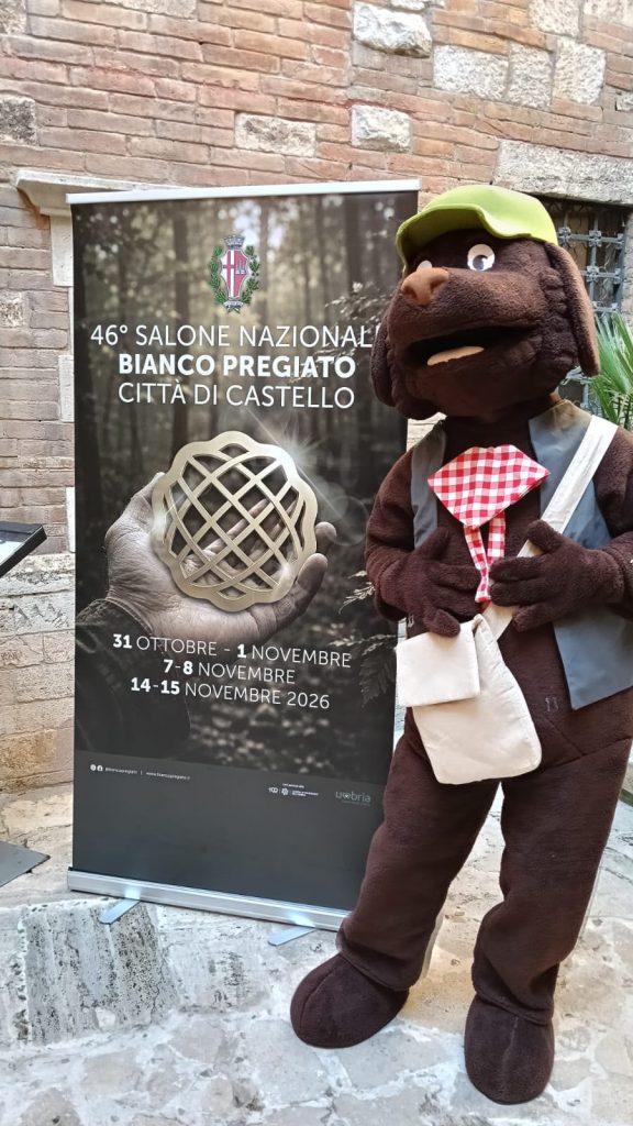 Torna il Salone Nazionale del tartufo bianco per tre weekend a Città di Castello 4 Torna il Salone Nazionale del tartufo bianco per tre weekend a Città di Castello 3