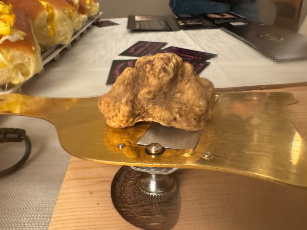 Torna il Salone Nazionale del tartufo bianco per tre weekend a Città di Castello 10 Torna il Salone Nazionale del tartufo bianco per tre weekend a Città di Castello 9