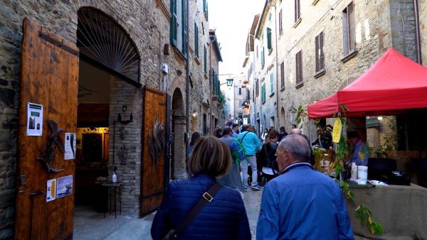 Montone si veste d’autunno: al via la 42ª Festa del Bosco tra sapori, natura e spettacoli 42 Montone si veste d’autunno: al via la 42ª Festa del Bosco tra sapori, natura e spettacoli 41
