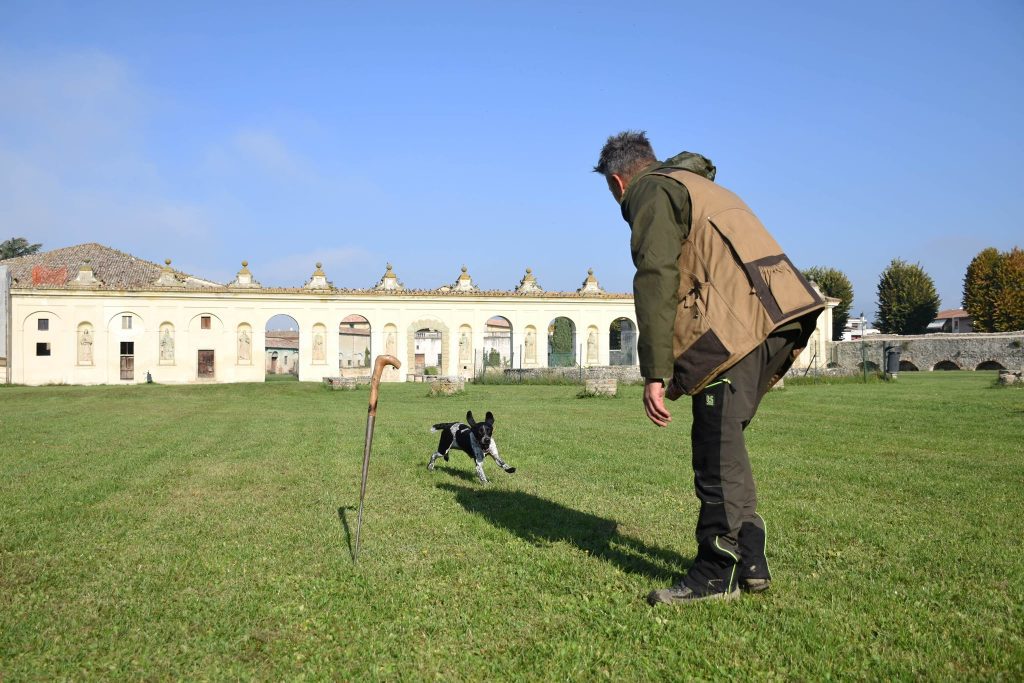 Torna il Salone Nazionale del tartufo bianco per tre weekend a Città di Castello 24 Torna il Salone Nazionale del tartufo bianco per tre weekend a Città di Castello 23