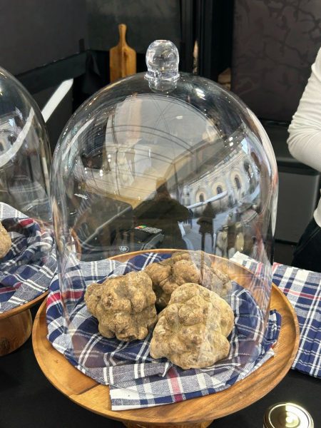 Torna il Salone Nazionale del tartufo bianco per tre weekend a Città di Castello 58 Torna il Salone Nazionale del tartufo bianco per tre weekend a Città di Castello 57