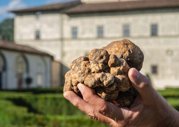 Torna il Salone Nazionale del tartufo bianco per tre weekend a Città di Castello 62 Torna il Salone Nazionale del tartufo bianco per tre weekend a Città di Castello 61