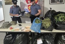 Sansepolcro, droga per 60mila euro nascosta vicino al centro storico: arrestata una coppia 6 Sansepolcro, droga per 60mila euro nascosta vicino al centro storico: arrestata una coppia 5