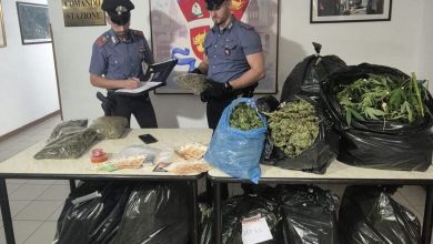Sansepolcro, droga per 60mila euro nascosta vicino al centro storico: arrestata una coppia 22 Sansepolcro, droga per 60mila euro nascosta vicino al centro storico: arrestata una coppia 21