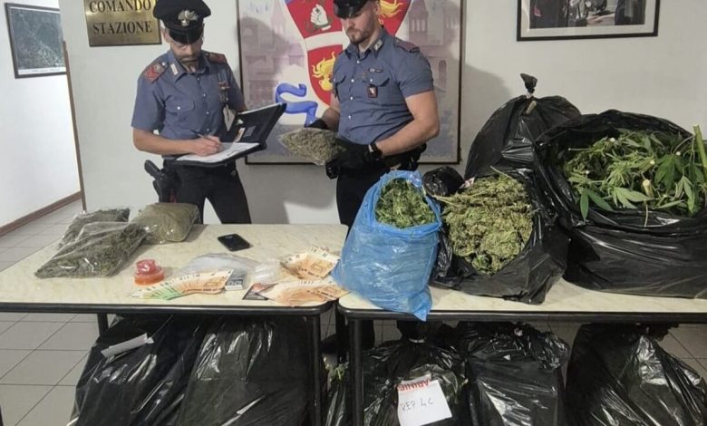 Sansepolcro, droga per 60mila euro nascosta vicino al centro storico: arrestata una coppia 2 Sansepolcro, droga per 60mila euro nascosta vicino al centro storico: arrestata una coppia 1
