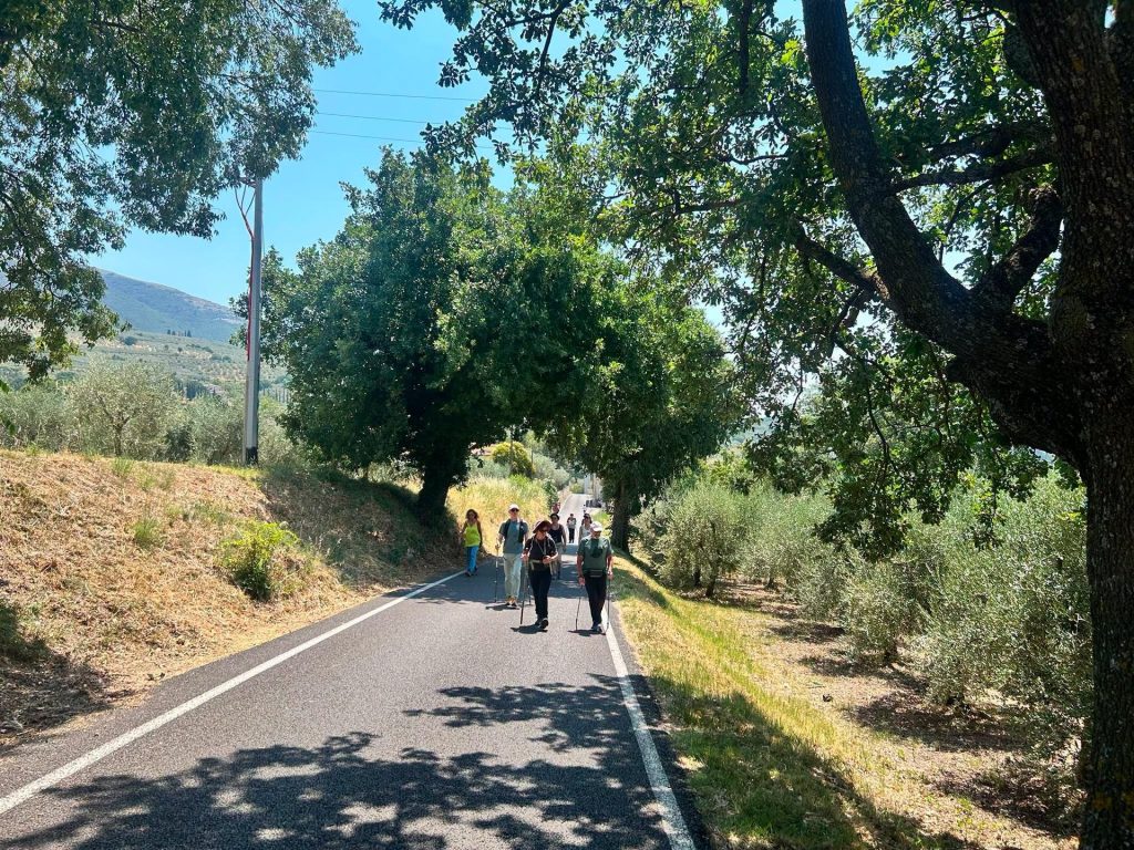 Festival del SOL, 230 chilometri sulle orme di San Francesco tra olio e Sagrantino 18 Festival del SOL, 230 chilometri sulle orme di San Francesco tra olio e Sagrantino 17