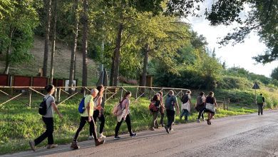 Festival del SOL, 230 chilometri sulle orme di San Francesco tra olio e Sagrantino 5