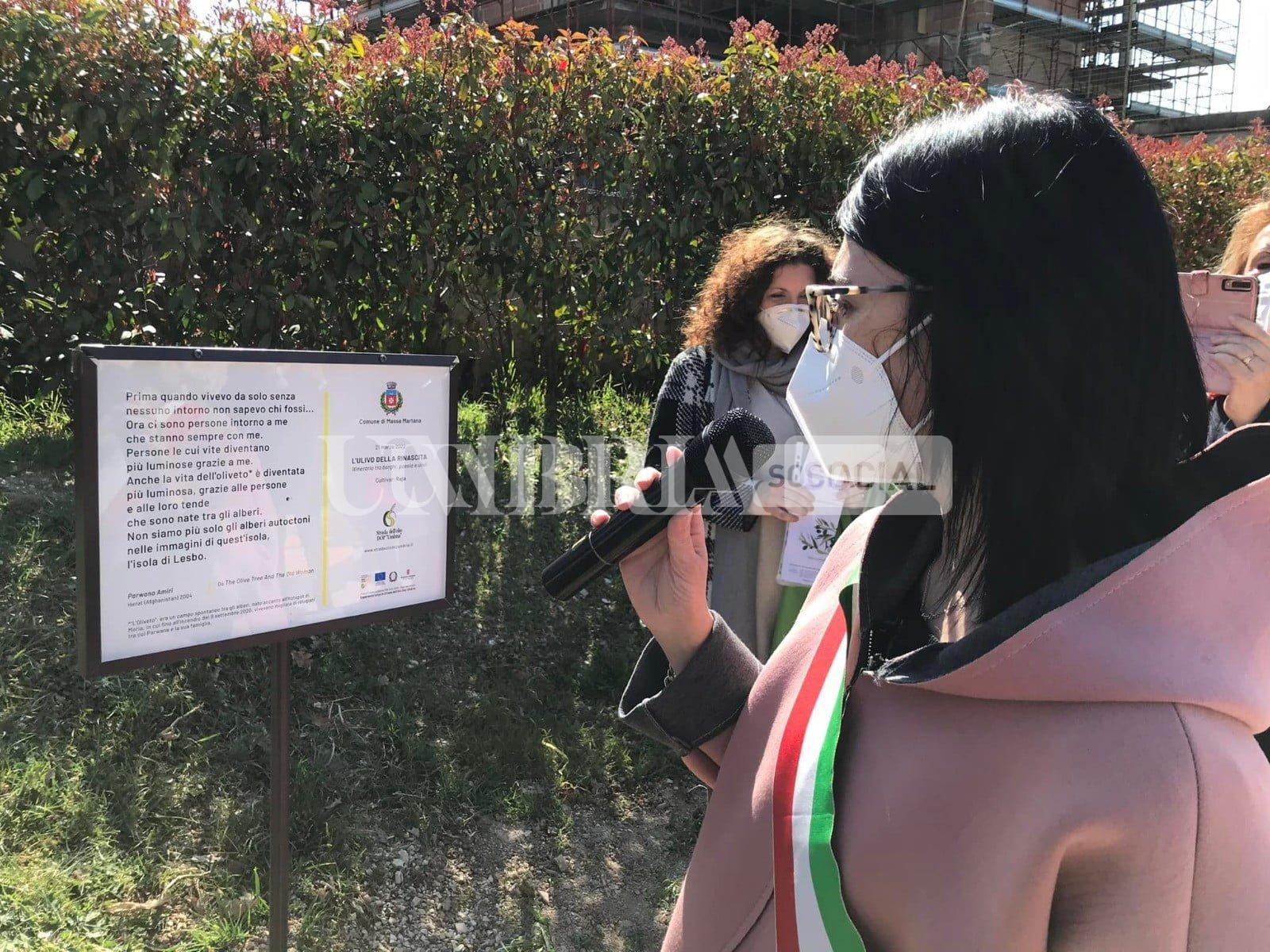 Piantato “l’Ulivo della rinascita” a Gualdo Tadino, Lugnano in Teverina, Massa Martana, Stroncone e Todi 4