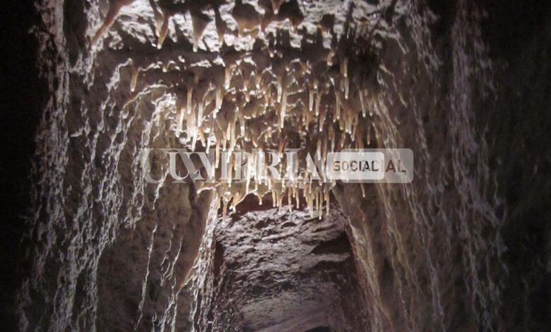 49286258 DE0E 42E0 A4A7 92AFE3E09D01