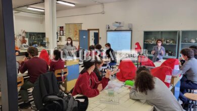 L'orientamento al mondo del lavoro curato dagli ex studenti del Liceo Alessi 11 275943775 366747432116966 1638113360750454549 n