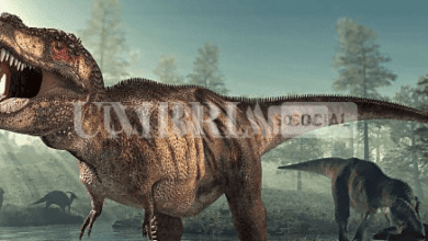 Terni, al via la mostra didattica "Dinosauri in città" 6 Schermata 2022 04 20 alle 12.40.41