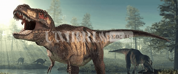 Terni, al via la mostra didattica "Dinosauri in città" 1 Schermata 2022 04 20 alle 12.40.41