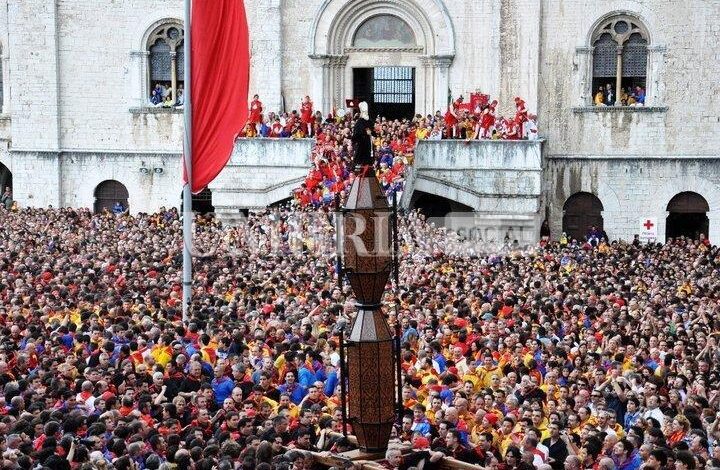 Ceri di Gubbio: torna la festa più amata dagli eugubini e non solo 1 279966574 4992596484170963 5737608171379588880 n