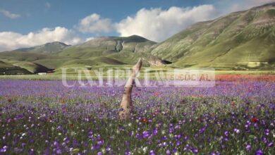 Io amo il mare dell’Umbria, al via la campagna estiva della Regione 14 357B8C92 A95A 4B2A 90A5 42E37F3F24ED