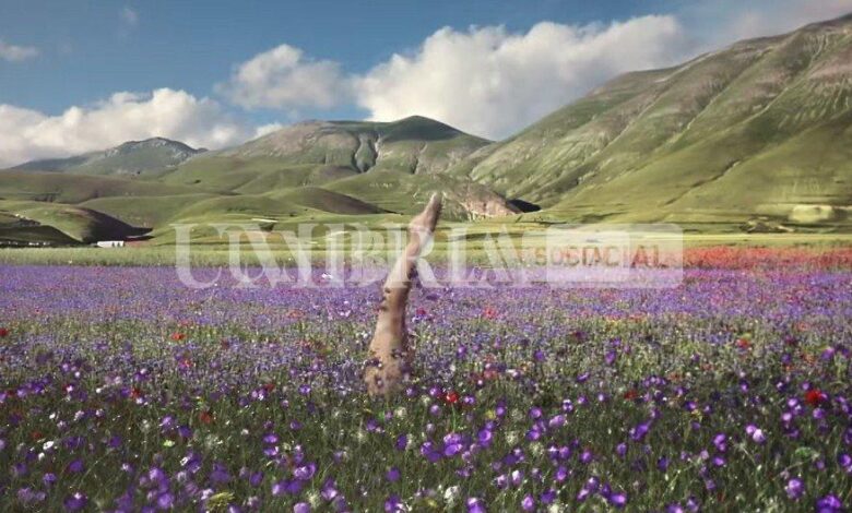 Io amo il mare dell’Umbria, al via la campagna estiva della Regione 1 357B8C92 A95A 4B2A 90A5 42E37F3F24ED