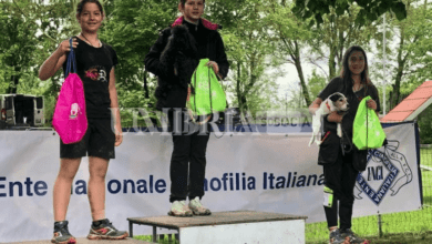 Schermata 2022 05 13 alle 16.49.37
