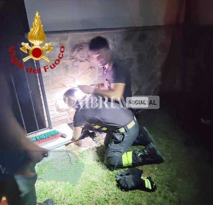 Orvieto, Vigili del Fuoco salvano piccolo cagnolino 2