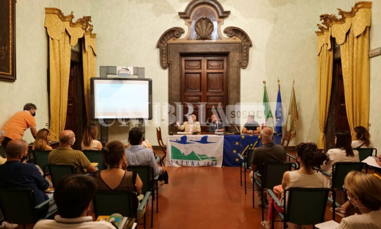Life Imagine Umbria, al via un progetto settennale con al centro il patrimonio di biodiversità della regione 1 P1022593 min scaled
