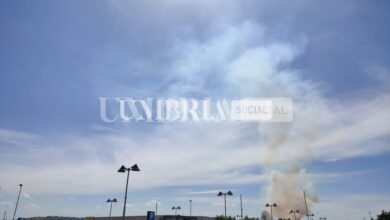 Colonna di fumo tra Collestrada e Ponte San Giovani, tante le chiamate ai pompieri (foto) 2 WhatsApp Image 2022 06 06 at 15.41.06 1