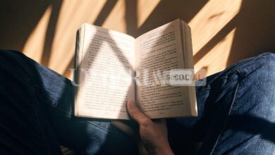 Guardie, ladri e poveri cristi, mercoledì 29 a Perugia la presentazione del libro di Rita Boini 5 blaz photo zMRLZh40kms unsplash scaled
