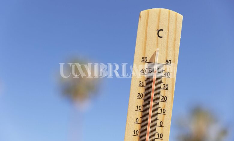 Umbria da bollino rosso, la regione tra le più calde d'Italia 1 close up on thermometer showing high temperature scaled