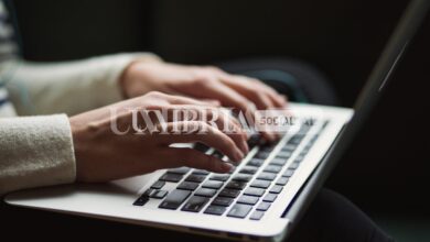 Torna il premio per tesi di laurea "Laura Cipollone": il bando scade il 31 agosto 3 kaitlyn baker vZJdYl5JVXY unsplash scaled