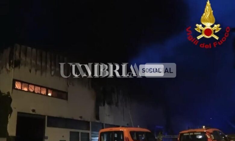 Incendio a Malagrotta, in azione anche i vigili del fuoco umbri 1 malagrotta incendio 20220616004735