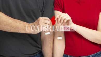 Umbria, diminuiscono le scorte di sangue: appello ai donatori 2 medula ossea