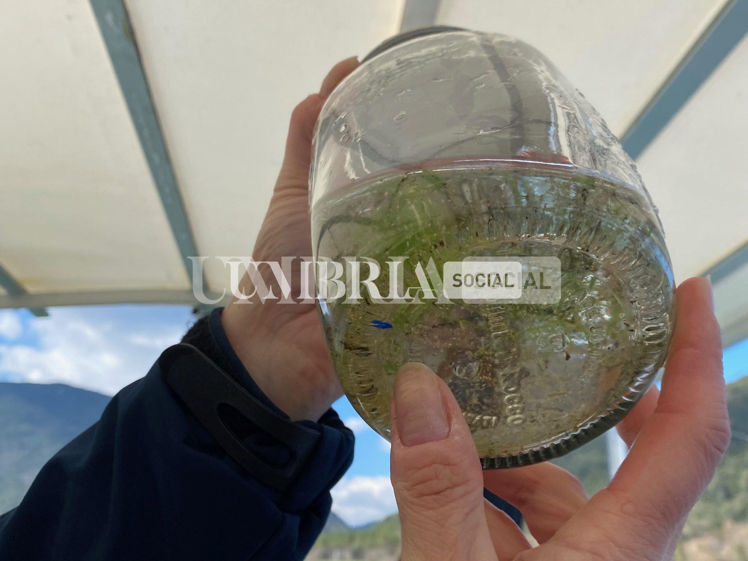 Microplastiche nei laghi: monitoraggio tra Bracciano, Trasimeno e Piediluco 2