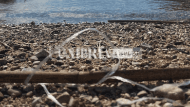 Microplastiche nei laghi: monitoraggio tra Bracciano, Trasimeno e Piediluco 3 Schermata 2022 07 12 alle 12.41.32